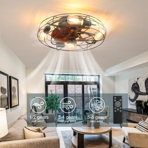 Misty Valley Caged Ceiling Fan With Light, 20'' farmhouse Low Profile Ceiling fan Lights With Remote Control, Modern Enclosed 4x E26 Bulb Ceiling Fans With Reversible Motor Living Room Bedroom Kitchen, Black