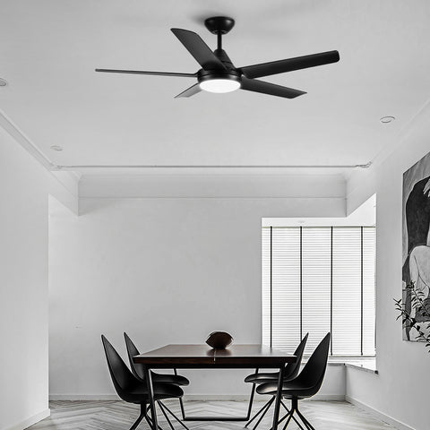 Misty Valley 48in. Modern 5-Blade Integrated LED Black Ceiling Fan with Light, Color-Changing Quiet Remote Control Ceiling Fan