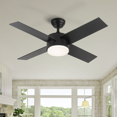 Misty Valley 44in. Integrated LED Black Ceiling Fan with Light, Color Changing and Remote Control