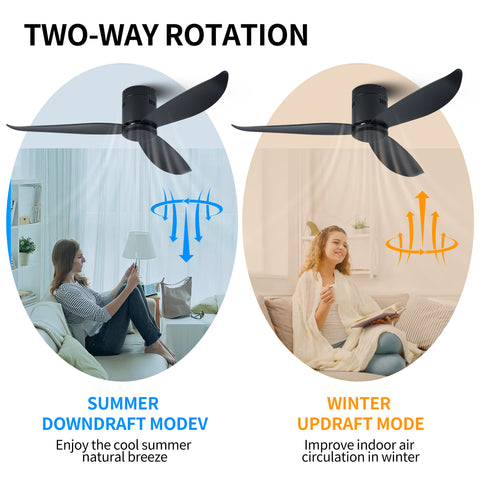 Misty Valley 5in. Low Profile Ceiling Fan Without Light, Black Flush Mount Ceiling Fans No Lights
