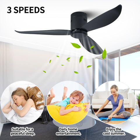 Misty Valley 5in. Low Profile Ceiling Fan Without Light, Black Flush Mount Ceiling Fans No Lights